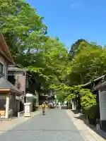 高尾山薬王院(東京都)