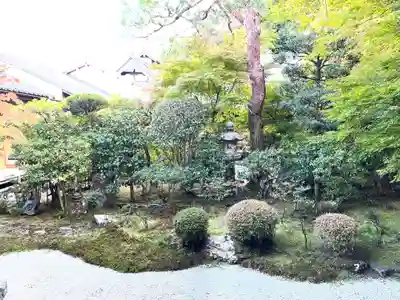 二尊院(京都府)