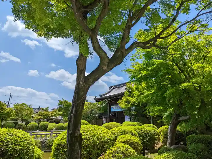 妙満寺(京都府)