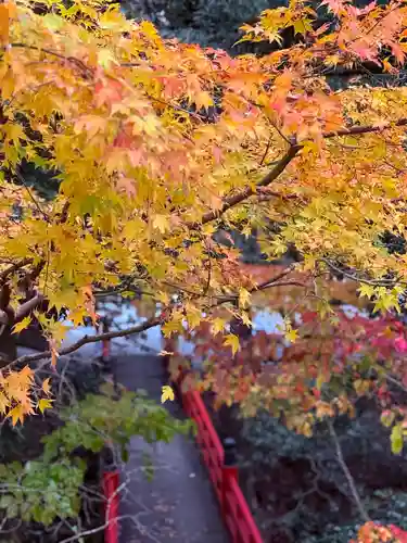 明通寺(福井県)