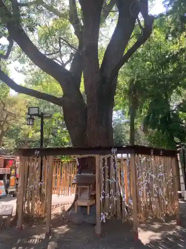 平塚八幡宮(神奈川県)