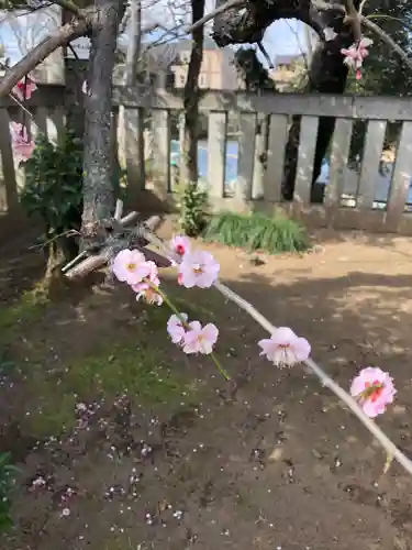 境香取神社の自然