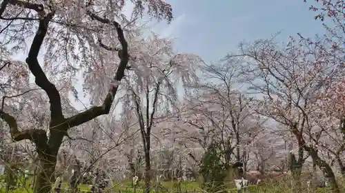 平野神社の庭園