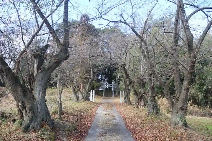 橿原神社の景色