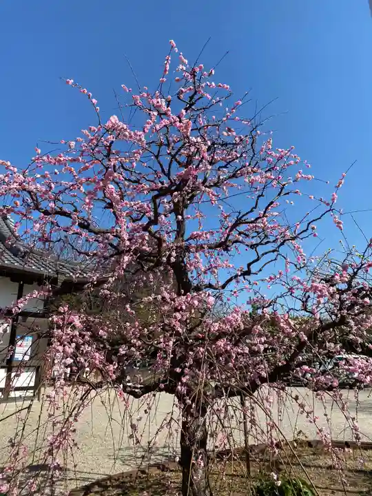 比佐豆知神社の自然
