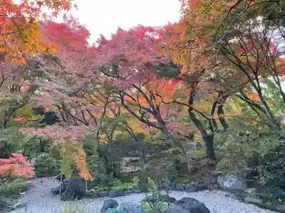 宝筐院(京都府)
