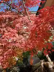 八剱八幡神社の自然