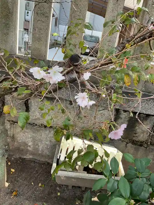 素盞男神社(愛知県)