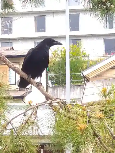晴明神社(京都府)