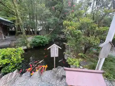 猿田彦神社(三重県)