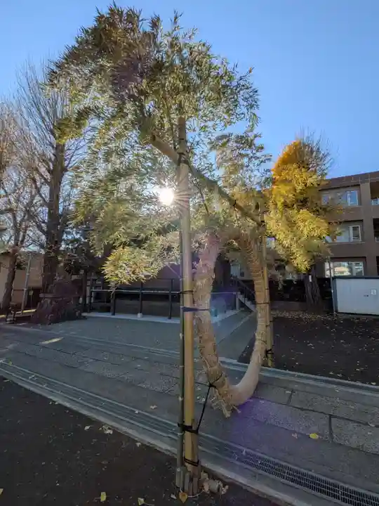 須賀神社(東京都)
