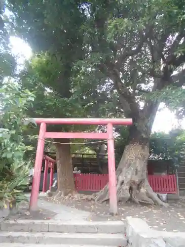 正一位稲荷大明神（築山稲荷社）の鳥居