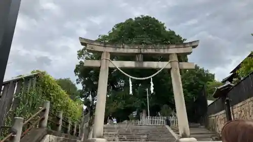 阿智神社の鳥居