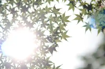 鷺森神社(京都府)
