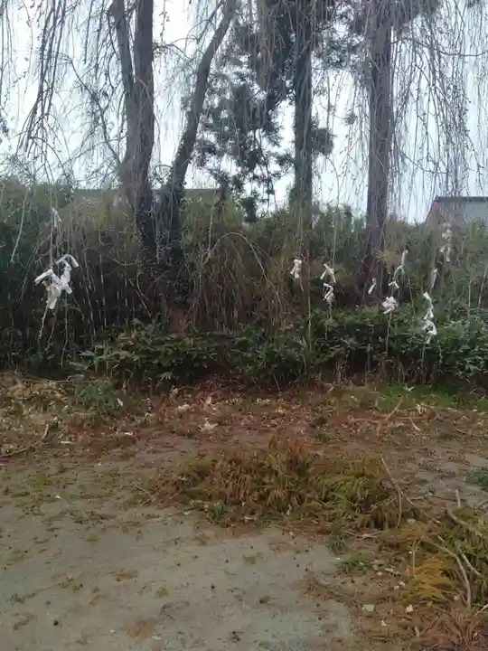 多賀神社(宮城県)