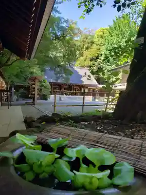 乃木神社(東京都)