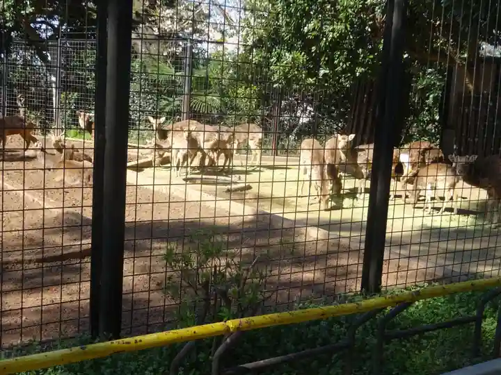 天照皇大神の周辺