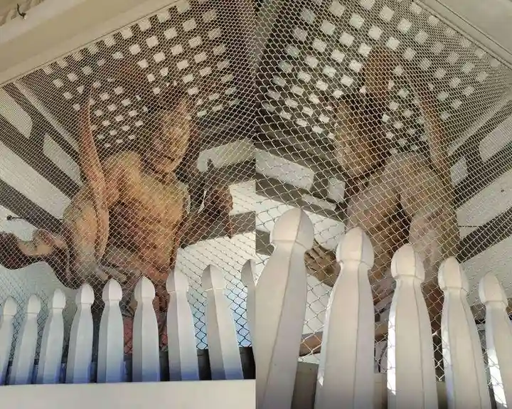 総持寺(神奈川県)