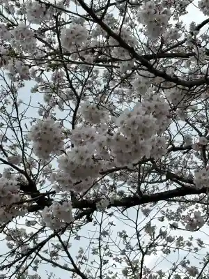霊山神社(福島県)