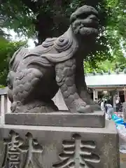 駒込天祖神社の狛犬