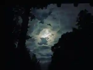 滑川神社 - 仕事と子どもの守り神の景色(2021年09月22日(水) 19時11分10秒投稿)