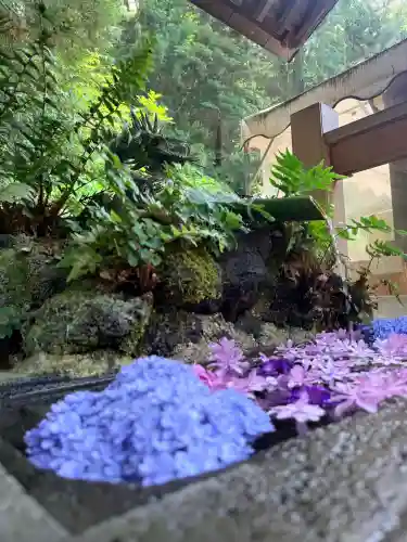 穴澤天神社(東京都)