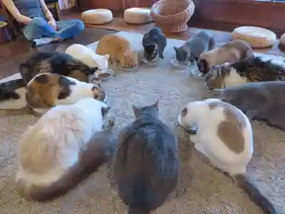 晴明神社(京都府)