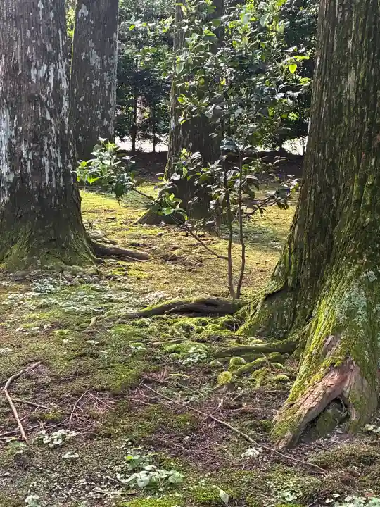 都農神社(宮崎県)