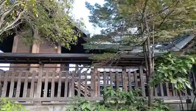 所澤神明社(埼玉県)