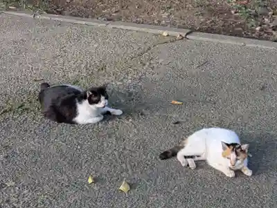 春日神社(神奈川県)