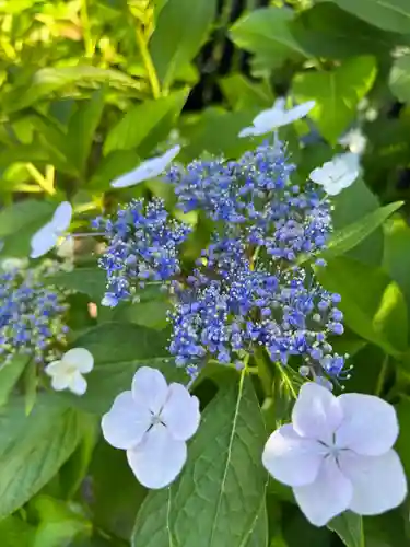 高麗神社(埼玉県)