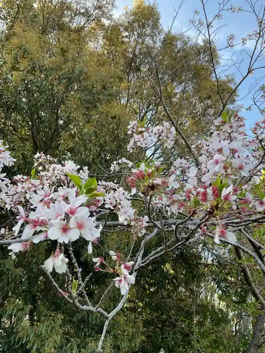 願成寺(愛知県)