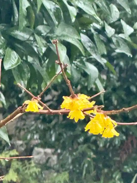永興寺(山科豊川稲荷社)(京都府)