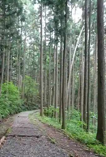 戸隠神社火之御子社の自然