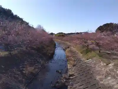 白山神社(静岡県)