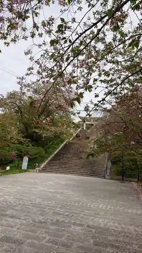 光雲神社のその他建物