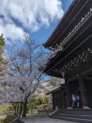 知恩院(京都府)