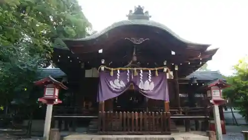離宮八幡宮の本殿・本堂