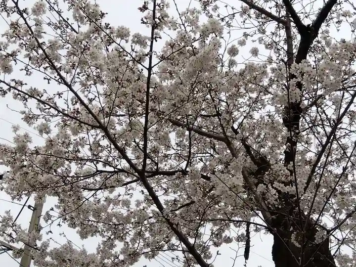 日吉神社(京都府)
