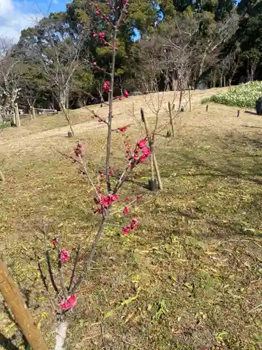 枚岡神社の庭園