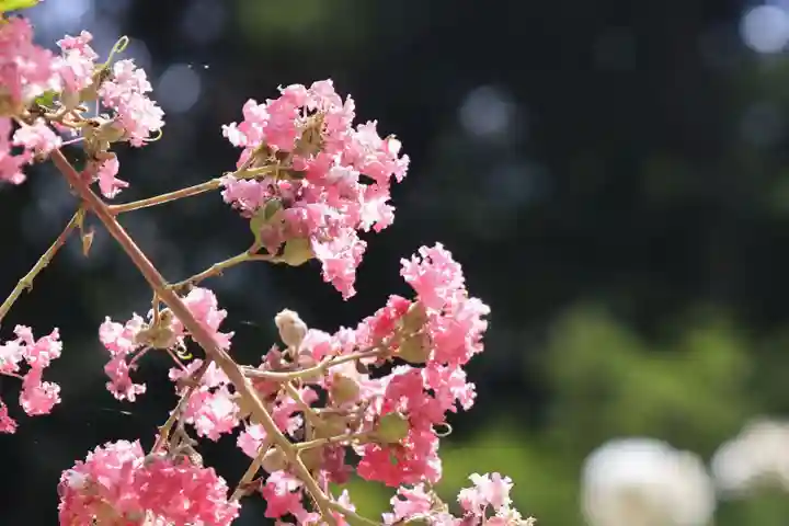 岩船寺(京都府)