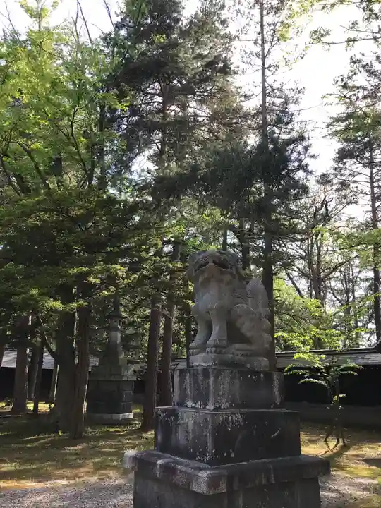 上川神社の狛犬