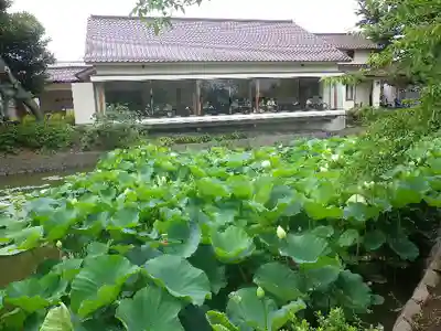 鶴岡八幡宮のその他建物