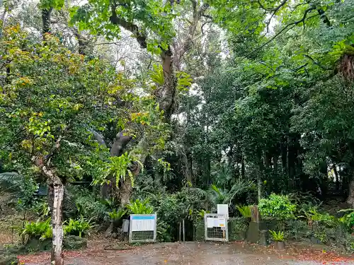 金武観音寺(沖縄県)