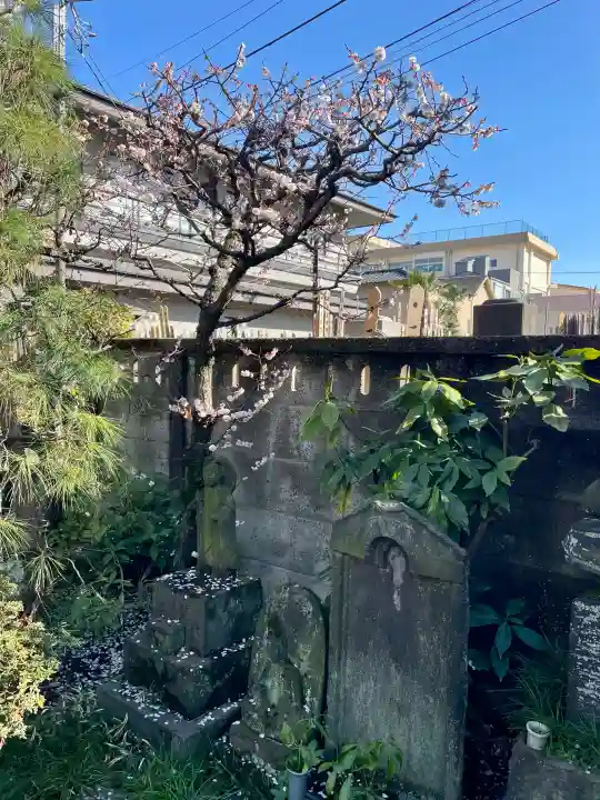 浄正寺の{uncategorized: "未分類", other: "その他", undefined: "問題あり", building: "その他建物", grave: "お墓", sacred_gate: "鳥居", guardian: "狛犬", statue: "像", buddha: "仏像", history: "歴史", nature: "自然", garden: "庭園", animal: "動物", pagoda: "塔", temizu: "手水舎", mountain_gate: "山門・神門", sanctuary: "本殿・本堂", subordinate: "末社・摂社", art: "芸術", scenery: "景色", jizo: "地蔵", ema: "絵馬", goshuin: "御朱印", omikuji: "おみくじ", items: "授与品その他", amulet: "お守り", goshuincho: "御朱印帳", eats: "食事", festival: "お祭り", votive_dance: "神楽", shichigosan: "七五三参", wedding: "結婚式", experience: "体験その他", initially: "初詣", around: "周辺", anti_infection: "感染症対策"}