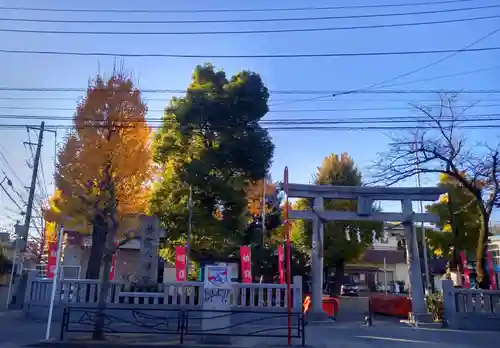 若宮八幡宮 (神奈川県)