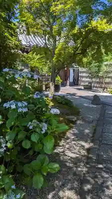 長興院(京都府)