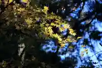 菅船神社の自然