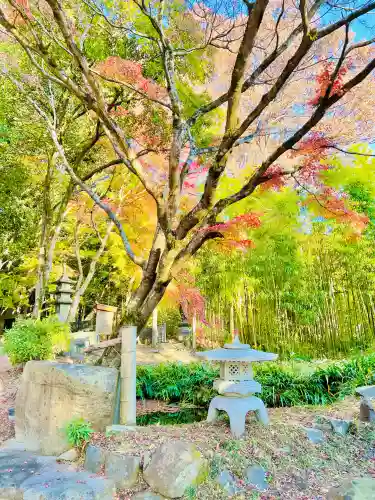 西明寺の{uncategorized: "未分類", other: "その他", undefined: "問題あり", building: "その他建物", grave: "お墓", sacred_gate: "鳥居", guardian: "狛犬", statue: "像", buddha: "仏像", history: "歴史", nature: "自然", garden: "庭園", animal: "動物", pagoda: "塔", temizu: "手水舎", mountain_gate: "山門・神門", sanctuary: "本殿・本堂", subordinate: "末社・摂社", art: "芸術", scenery: "景色", jizo: "地蔵", ema: "絵馬", goshuin: "御朱印", omikuji: "おみくじ", items: "授与品その他", amulet: "お守り", goshuincho: "御朱印帳", eats: "食事", festival: "お祭り", votive_dance: "神楽", shichigosan: "七五三参", wedding: "結婚式", experience: "体験その他", initially: "初詣", around: "周辺", anti_infection: "感染症対策"}