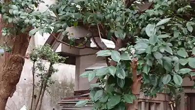 石川町諏訪神社の本殿・本堂